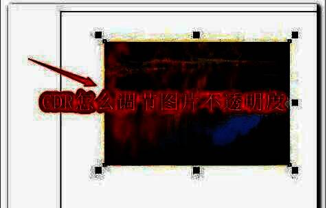 CorelDRAW界面中展示一张图片正在被调整透明度的操作界面