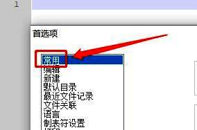 首选项窗口左侧菜单中‘常用’选项被高亮显示