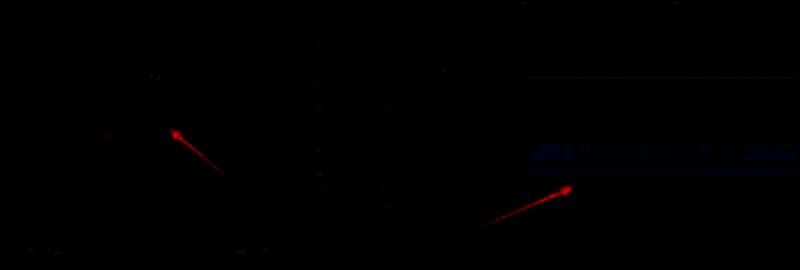 用户使用剃刀工具在视频片段中间位置进行切割操作