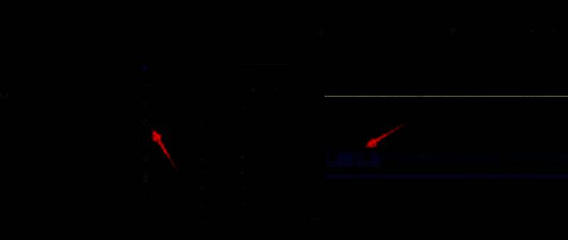 时间线上已被分割的视频片段，中间一段被选中并准备删除