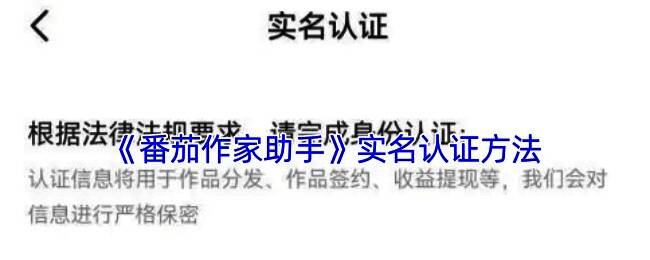 番茄作家助手发布作品流程示意图，展示从撰写到发布的全过程