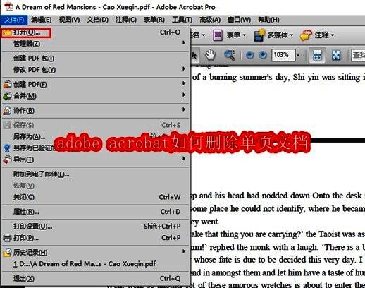 Adobe Acrobat主界面展示，界面清晰显示菜单栏与文档预览区域，突出其专业简洁的设计风格