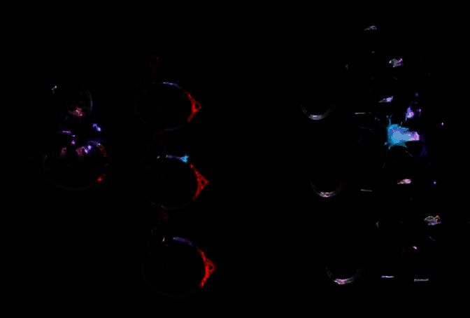 天赋说明界面截图，展示召唤物形态变化与属性加成详情