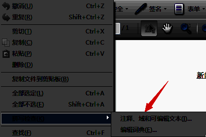拼写检查范围选择界面，已高亮显示注释和可编辑文本选项