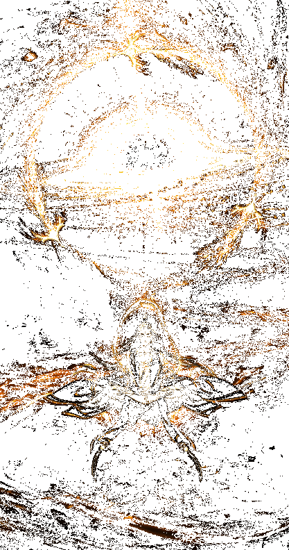 金系修炼室中金色灵力如河流般升腾，金凤绕核心飞行，光芒锐利，整体氛围冷峻而高贵