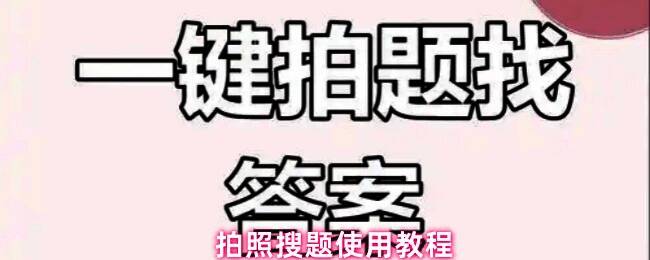 拍照搜题App首页界面展示，包含文字搜题、作文搜索、单词查询等多个功能入口