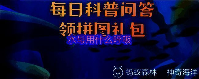 支付宝神奇海洋7月18日答题界面截图，显示当日问题：水母用什么呼吸？