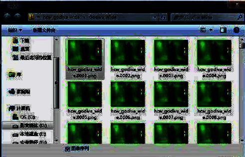 项目面板中已成功导入绿幕视频素材
