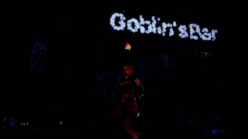 角色自定义界面展示，玩家可更换Vany的服装与饰品