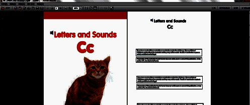 PDF文件成功以双联模式显示，左右两页并排呈现