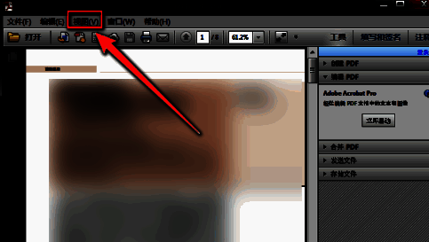 缩放子菜单展开状态，各项缩放选项整齐排列，‘选框缩放’位于列表靠前位置