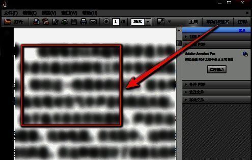 PDF页面已放大至选定区域，原选中的文字部分现在清晰占据整个屏幕