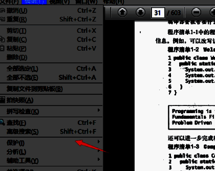‘保护’选项位于编辑菜单中，鼠标指针正指向该选项