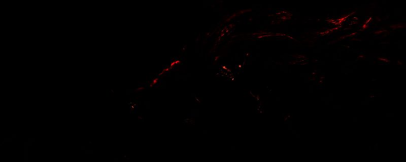 《艾尔登法环：黑夜君临》中执行者职业持长太刀战斗的立绘图，角色身穿暗色战甲，手持形似晾衣杆的修长太刀，气势逼人