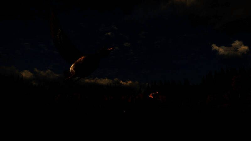 《猎人：荒野的召唤》游戏画面展示，猎人持枪穿越湿地，远处水禽飞起，环境细节逼真