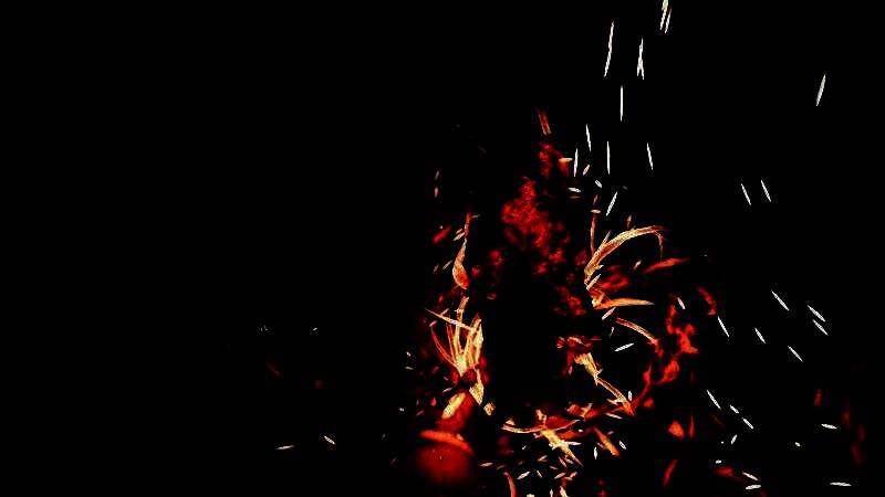 近距离展示角色面部细节，皮肤出现羽化病征兆，眼神中透露出痛苦与坚毅