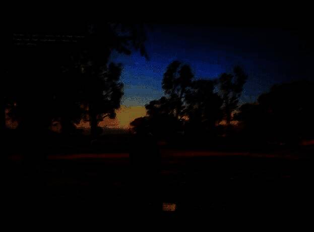 城市夜景全景，高楼林立，车流如织，光影效果极为真实