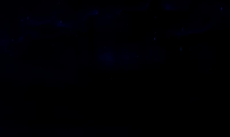 夜空中绚丽的彩色极光横跨天际，地面上两名玩家角色仰头拍摄，周围树木泛着柔和光晕