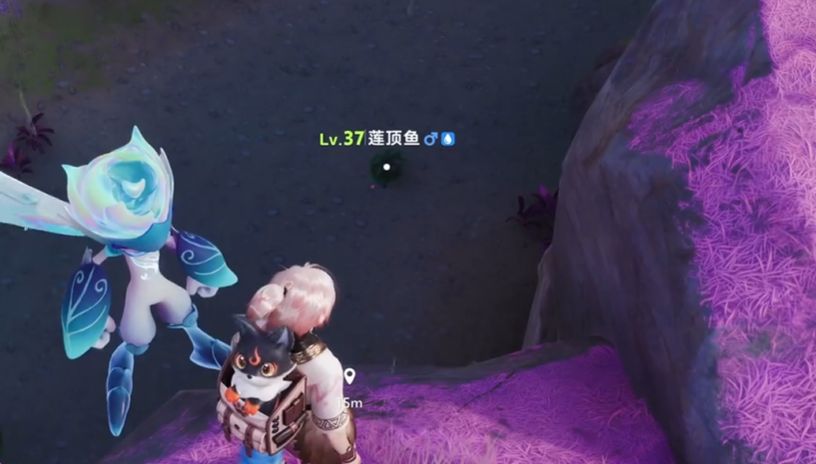 玩家角色在溪流中探查，水面泛起涟漪，一只莲顶鱼正缓缓游动，周围有气泡冒出