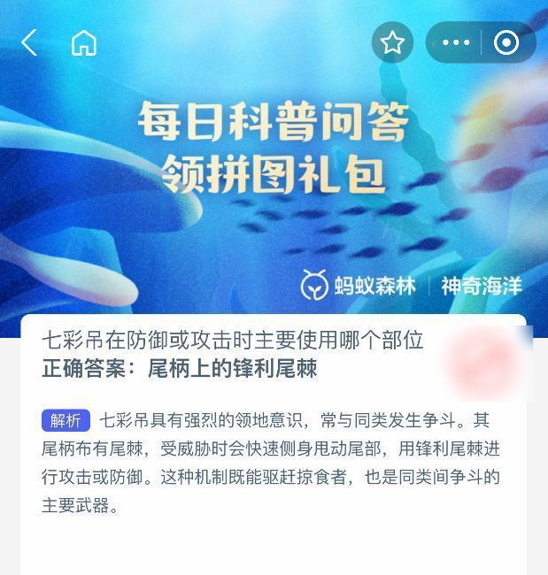 蚂蚁森林神奇海洋答题界面截图，显示题目‘七彩吊在防御或攻击时主要使用哪个部位’及选项，正确答案已标注为‘尾柄上的锋利尾棘’