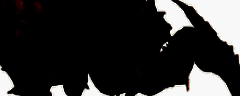 《绝地潜兵2》中虫族呕吐者集体喷射胆汁的战斗场景，绿色酸液在空中形成密集弹道，地面被腐蚀冒烟