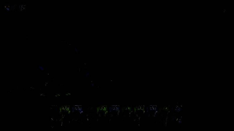 游戏内大臣角色立绘，身穿华丽长袍，神情凝重地站在宫殿台阶上