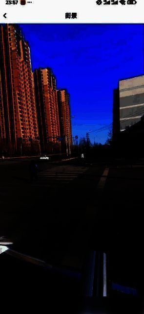 街景全景画面展示，道路、建筑与植被细节清晰可见，呈现真实街景效果