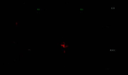 玩家使用晾衣杆触碰房梁上的布娃娃，炉火旺盛，准备获取道具