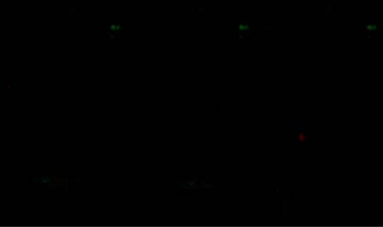 玩家使用榔头敲击墙面上颜色异常的瓷砖，碎片四溅