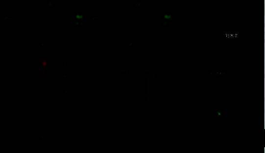 雕像口中放置面人后，短木条显露，玩家准备拾取