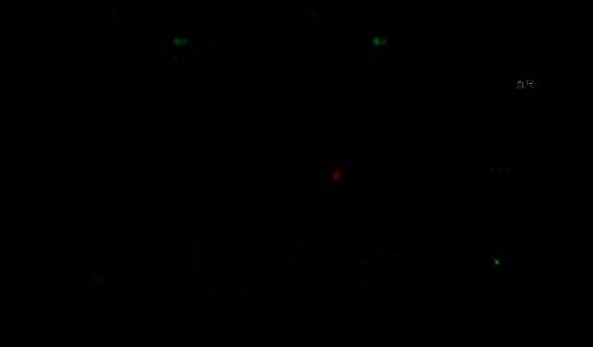 玩家在学堂右下角使用玩具手枪与伸出的手互动，触发机关获得直尺