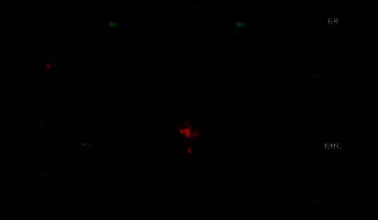 布娃娃悬挂在房梁上，阴森氛围浓厚，暗示其背后隐藏的秘密