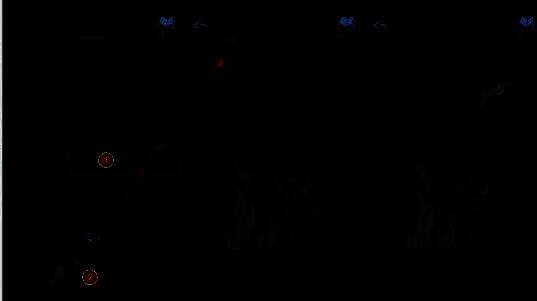 探头正对脑子图案，屏幕上闪烁着‘196’的红色数字