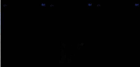 探头移至胃部图案，显示屏更新为‘524’，光线昏暗，气氛紧张