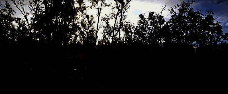 雷暴天气下的城市废墟，闪电划破天际，照亮了残破的高楼群