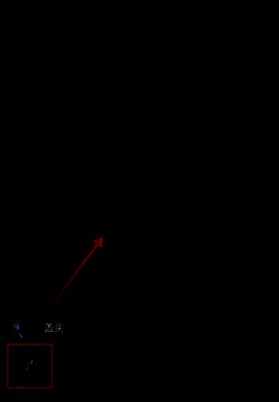 红盖头缓缓盖在木偶头上