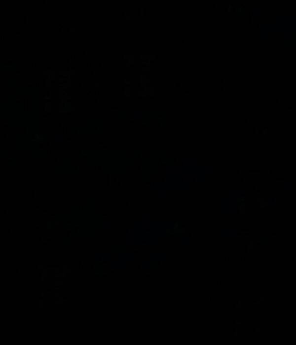 玩家放大查看树上线索，屏幕上显示符号特写