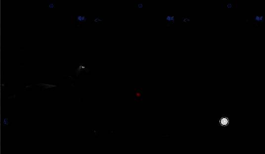 绿色树林在手机镜头下显现出神秘符文，周围雾气弥漫，充满神秘感