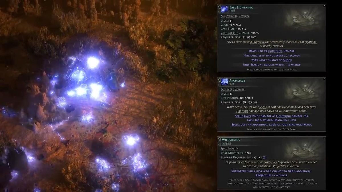 密林区域场景截图，光影透过树叶洒落，环境细节极为丰富