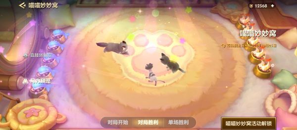 玩家成功解锁猫咪后的庆祝动画，屏幕上弹出‘恭喜获得布偶猫’字样