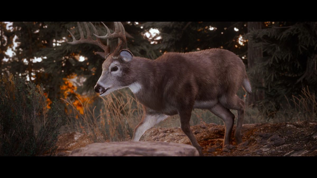 猎犬在雪地中追踪足迹，玩家紧随其后，环境细节丰富，积雪反射天光