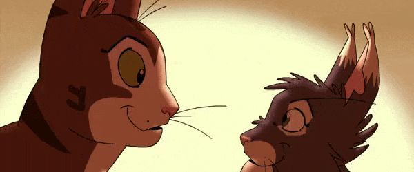 摩卡与一群流浪猫围坐在篝火旁，画面温馨，光影柔和