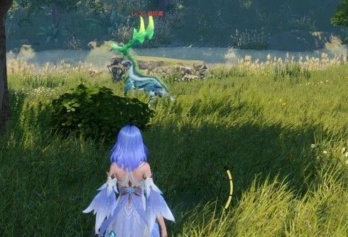 第三只卤阿鹿所在区域，靠近废弃房屋与石堆