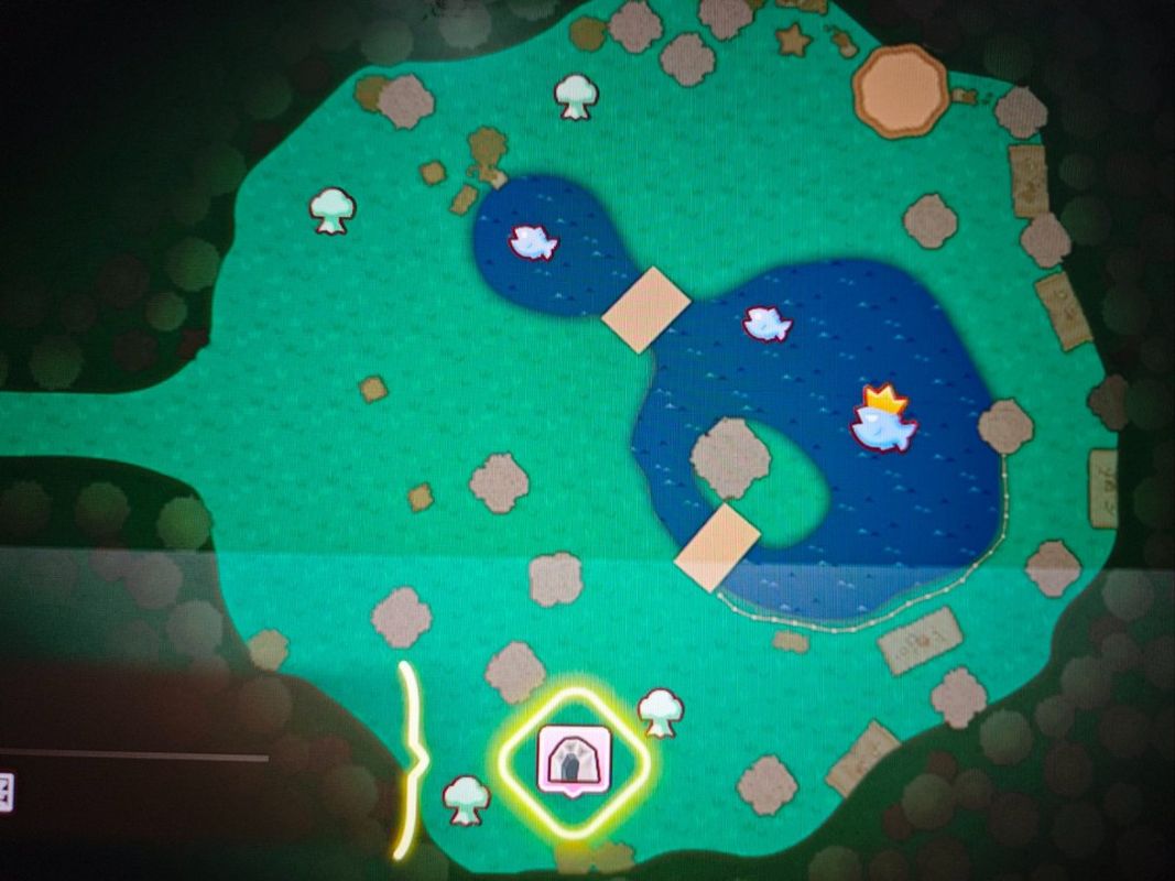 摇篮森林地图右下角的水井入口，周围植被茂密