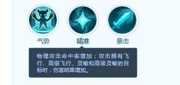 技能图标展示：精准，技能说明为增加命中率