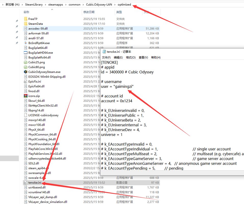 tenoke.ini配置文件编辑界面，光标定位在user参数处，显示正在修改玩家昵称