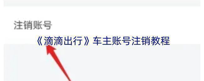 滴滴车主APP个人中心界面，右上角显示头像与设置入口
