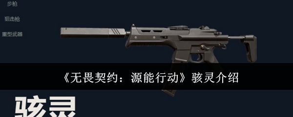 无畏契约游戏中骇灵突击步枪的整体外观展示，枪身线条流畅，带有未来科技感