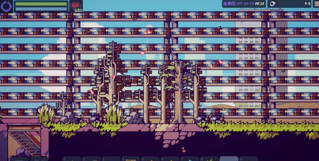 农场中整齐排列的霹雳草在阳光下生长