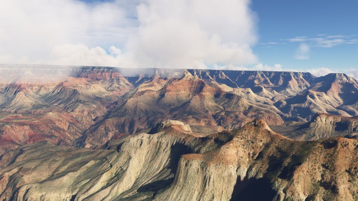 巴黎埃菲尔铁塔区域地形对比，2024版植被更密集，地表纹理更细腻